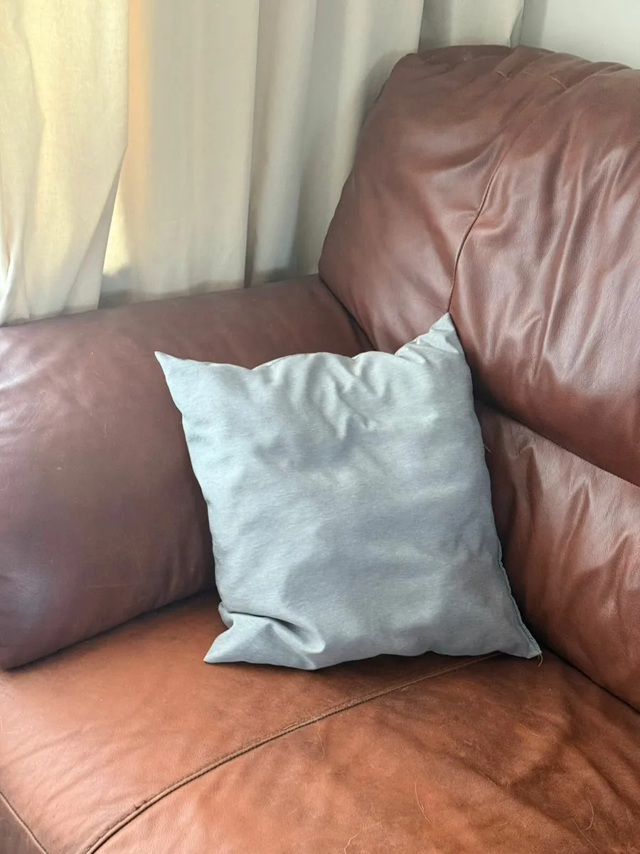 2 Sofas - Image 4