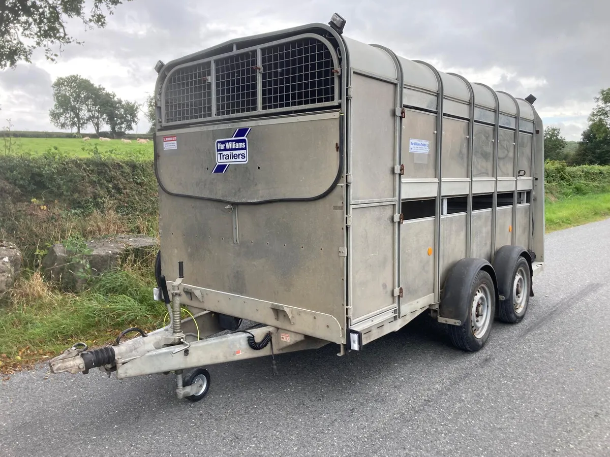 2014 Ifor Williams 12ft Cattle Trailer NO VAT - Image 1