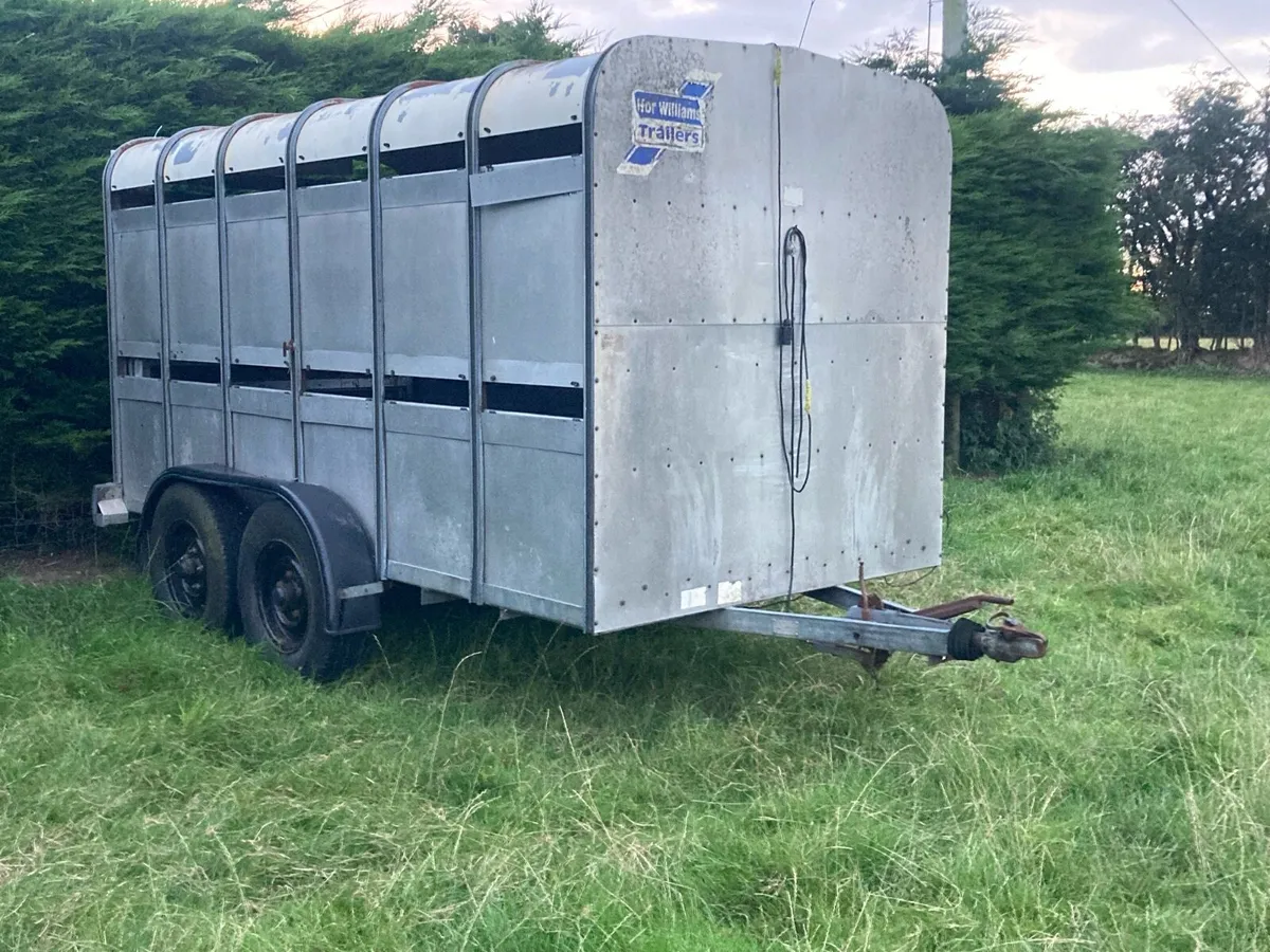12 by 5 ft9 ifor Williams - Image 1