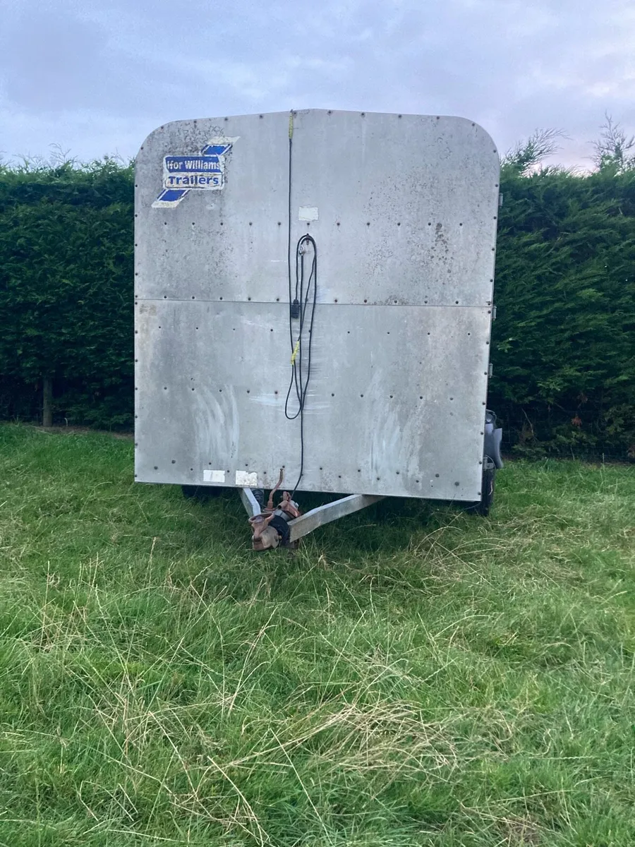 12 by 5 ft9 ifor Williams - Image 4