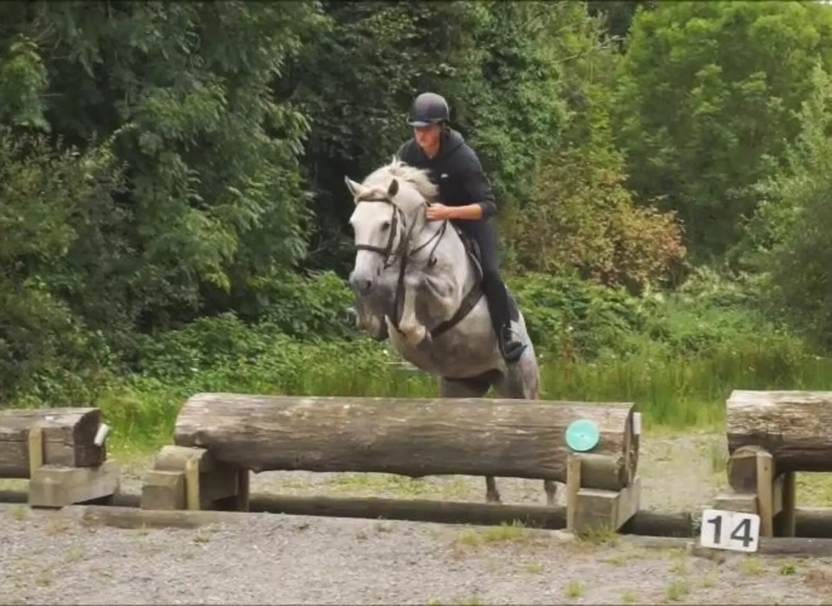 🌟 Super 15.2h All Rounder 🌟 - Image 3