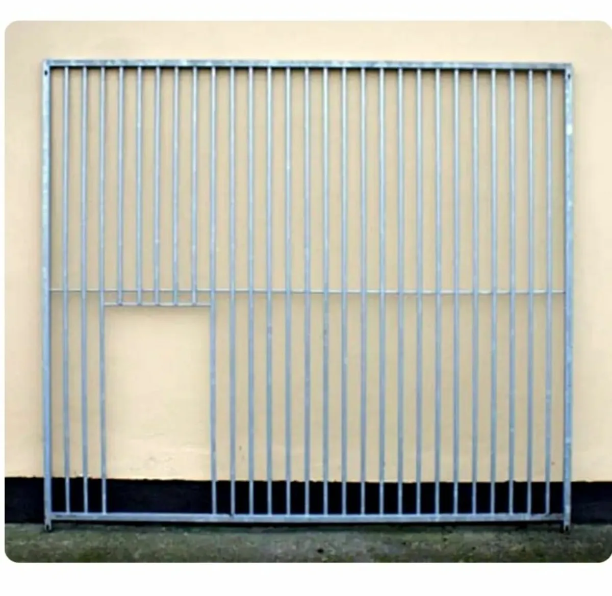 Dog Kennel and Run - Image 4