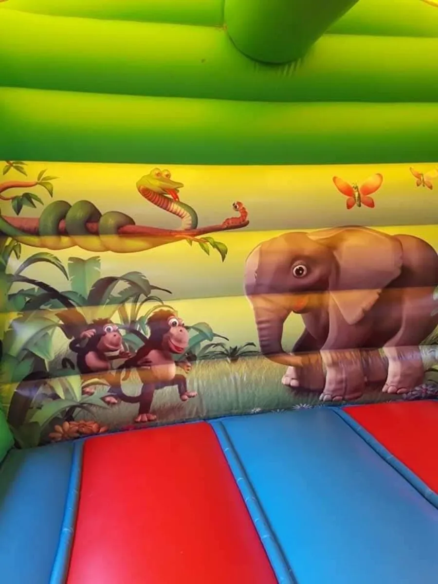 Bouncy castle for sale - Image 2