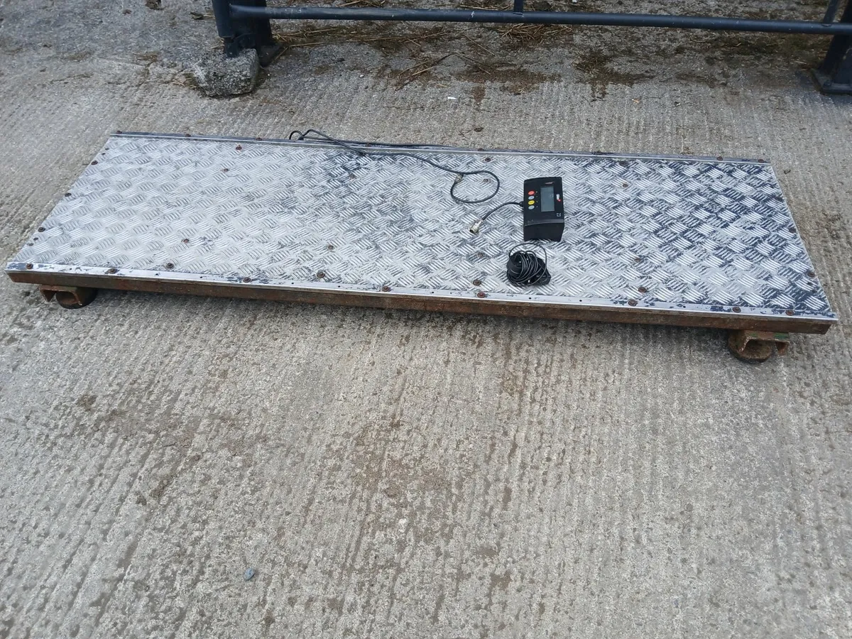 Cattle weighing scales - Image 3