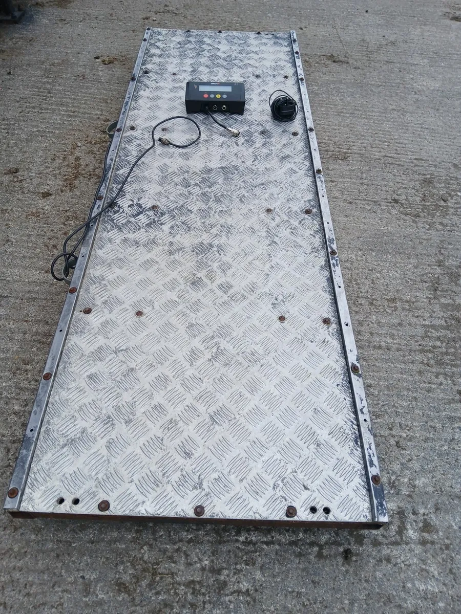Cattle weighing scales - Image 1
