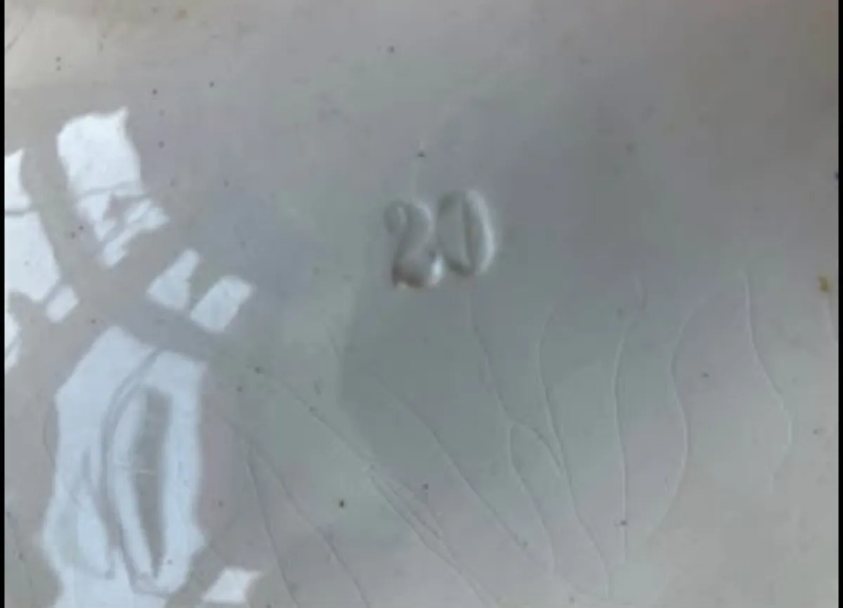 Antique meat serving plate with gravy well - Image 2