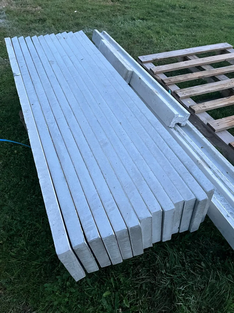 2 H Posts and 13 Concrete Panels - Image 1