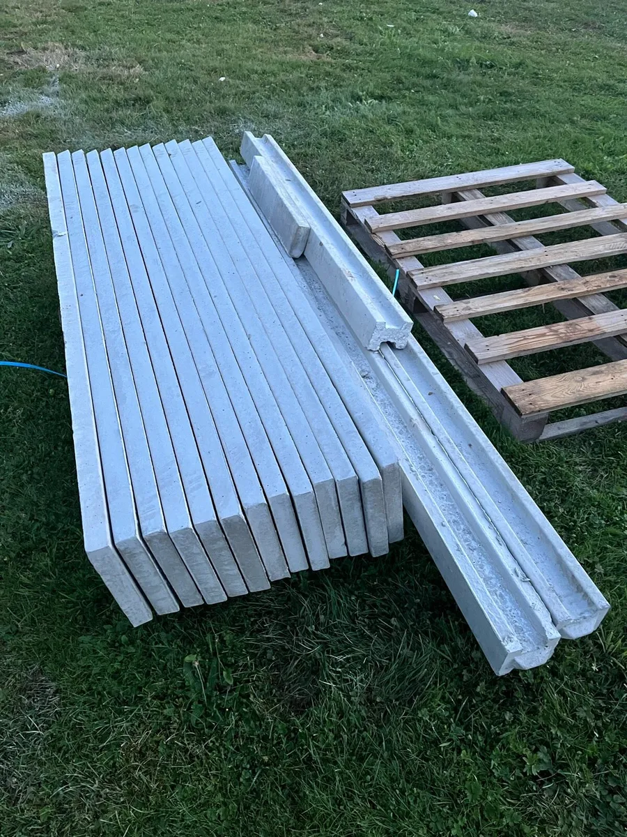 2 H Posts and 13 Concrete Panels - Image 3