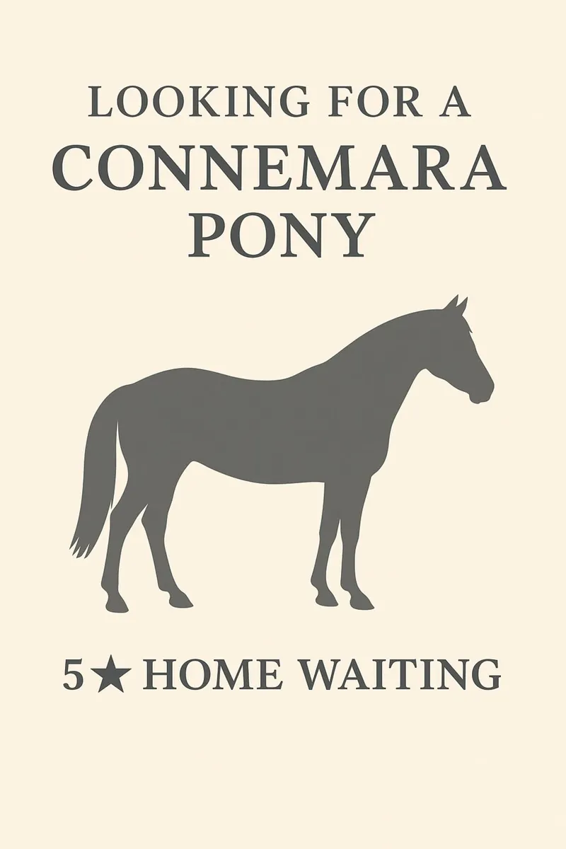 🌟 Looking for Connemara🌟