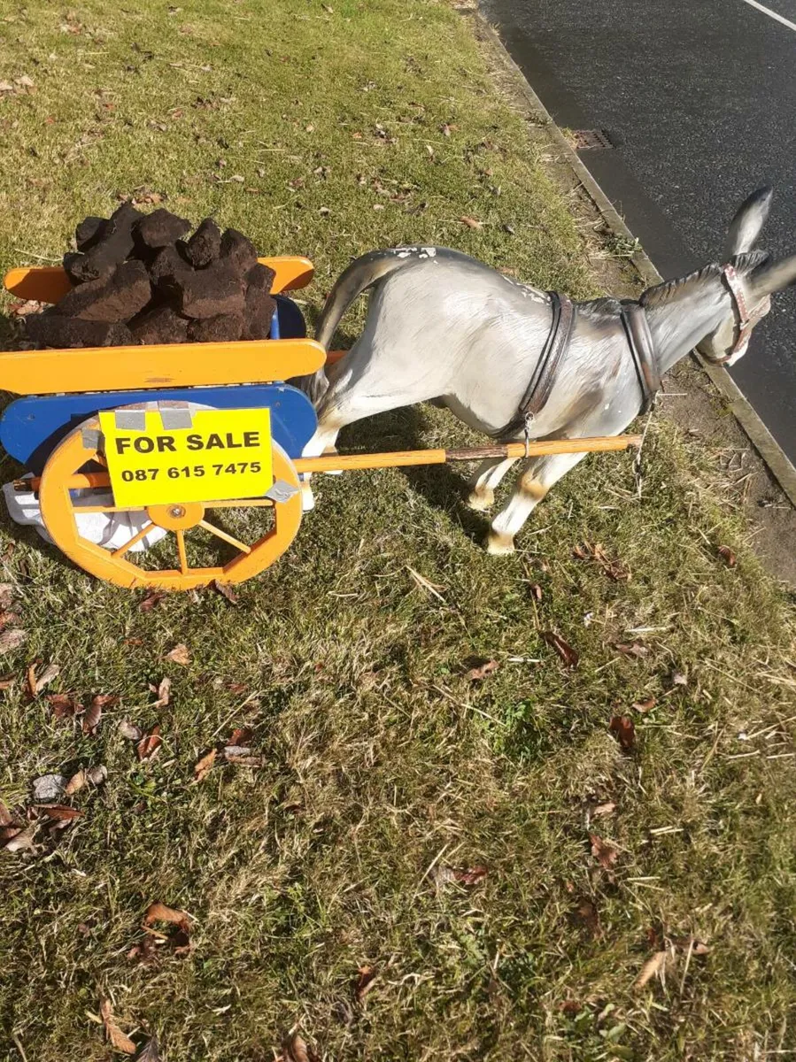 Donkey and cart - Image 1
