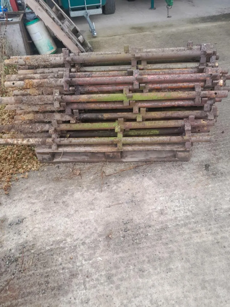 Scaffolding - Image 3