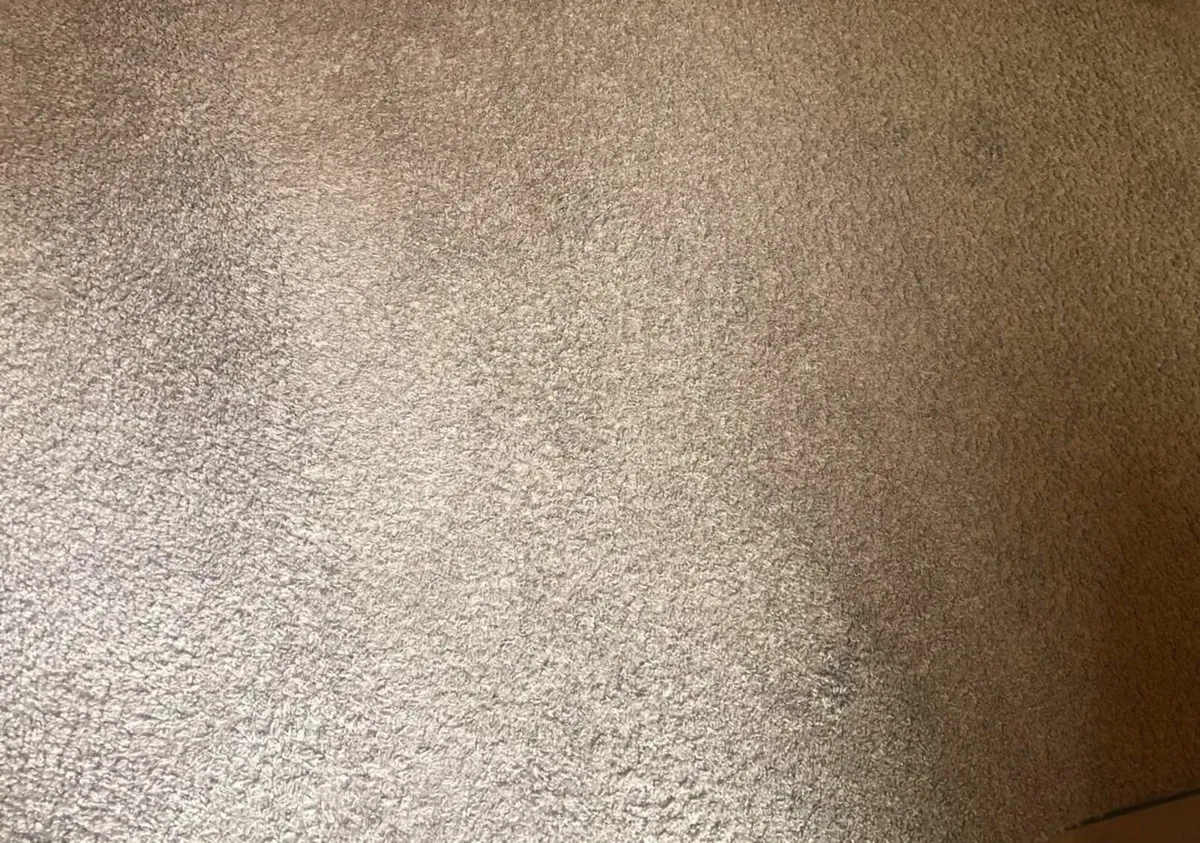 Carpet 3x4m - Image 3