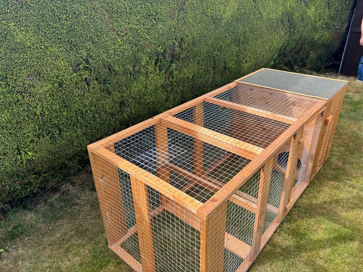 Chicken/Rabbit run - Image 2