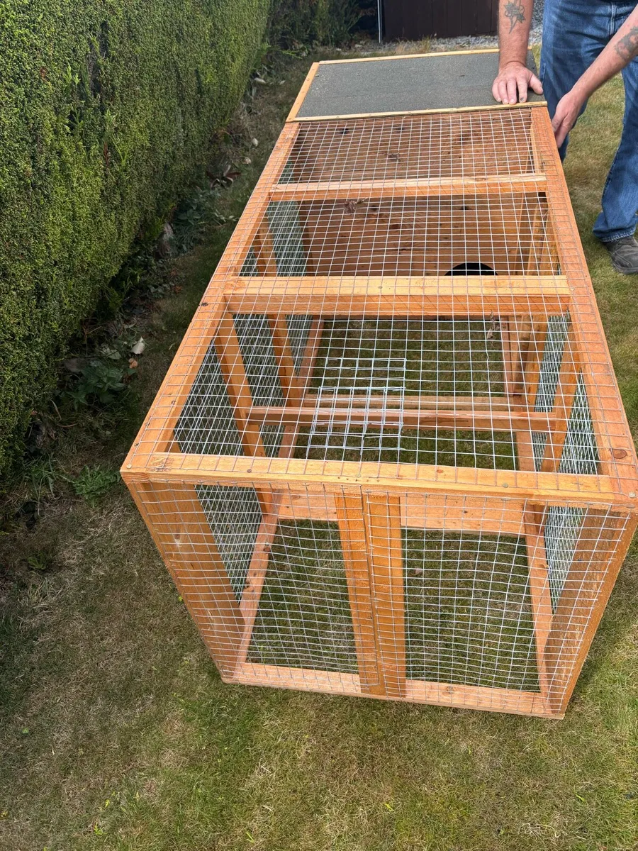Chicken/Rabbit run - Image 3