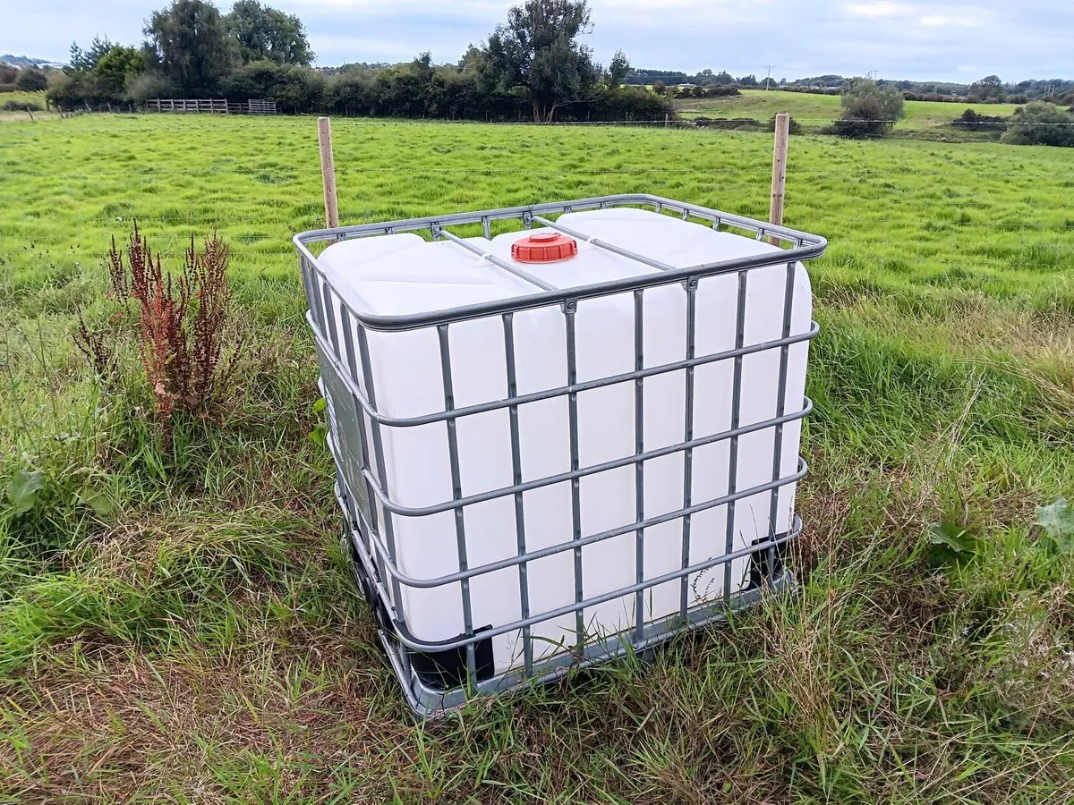 IBC Tank - Image 2