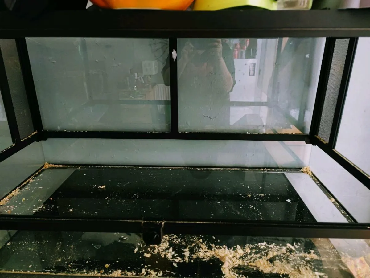 48 Gallon Neptonion terrarium - Image 1