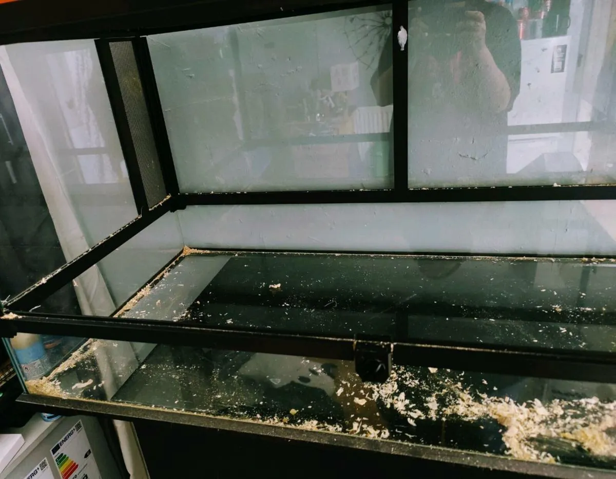 48 Gallon Neptonion terrarium - Image 2
