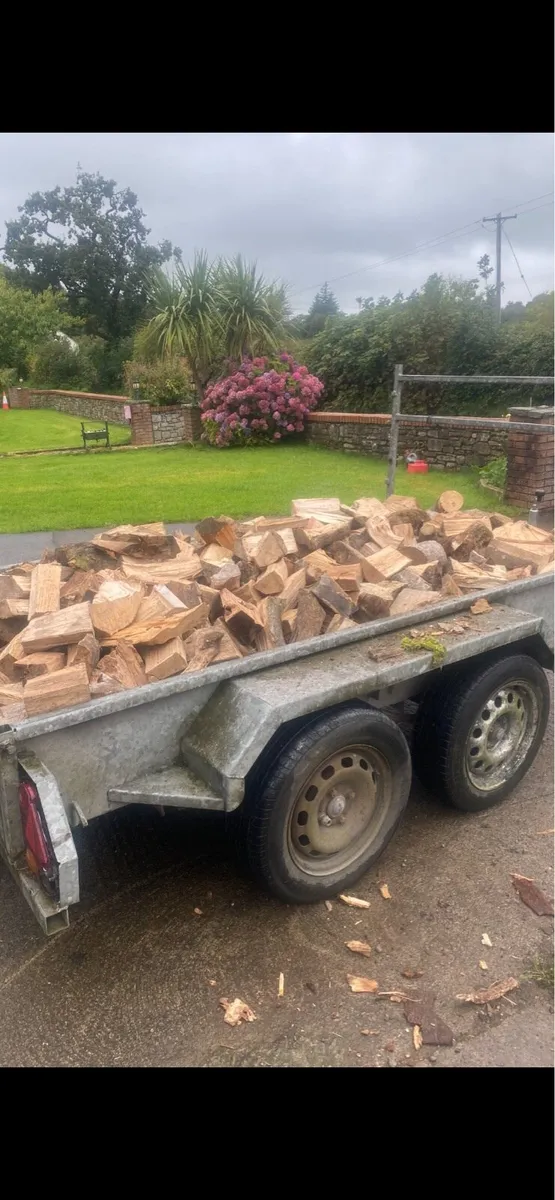 Firewood - Image 1