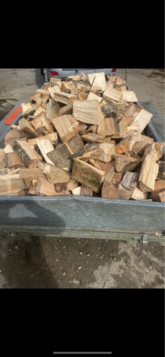 Firewood - Image 2