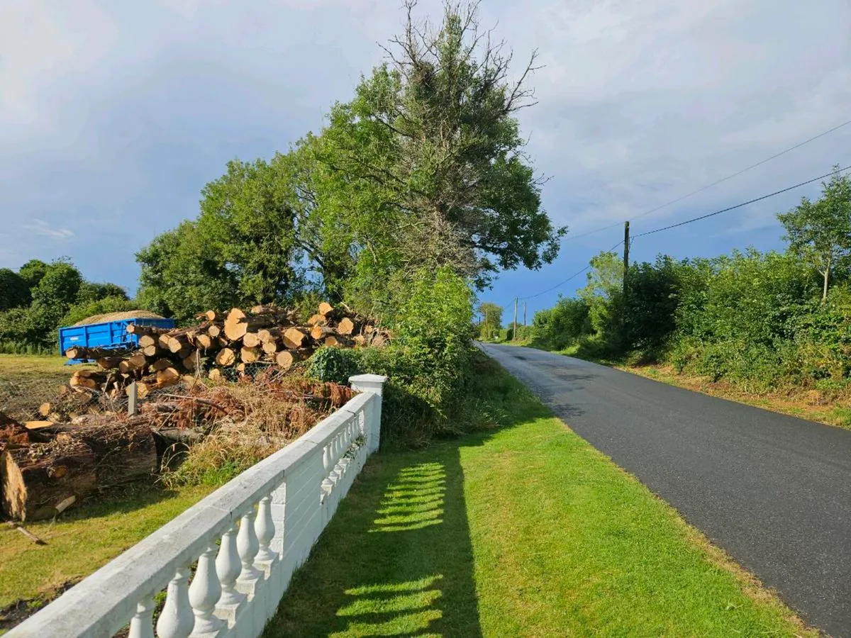 Tree surgery - Image 2