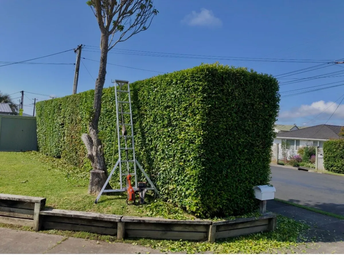 Landscaping and ground works - Image 1