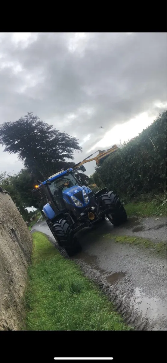 Munching and hedge cutting - Image 1