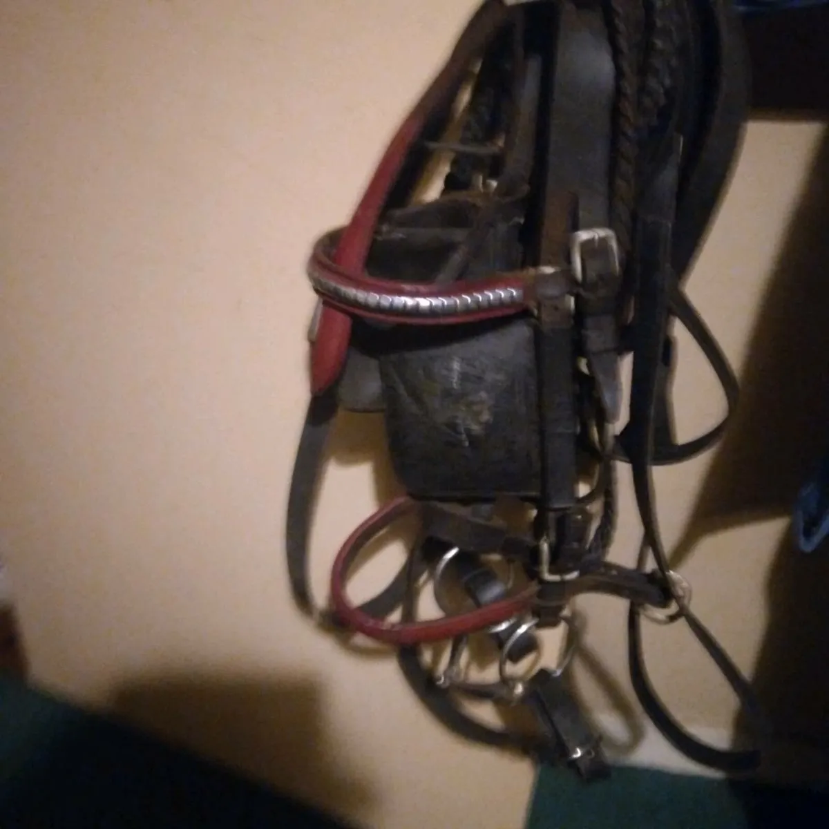 Driving harness - Image 1