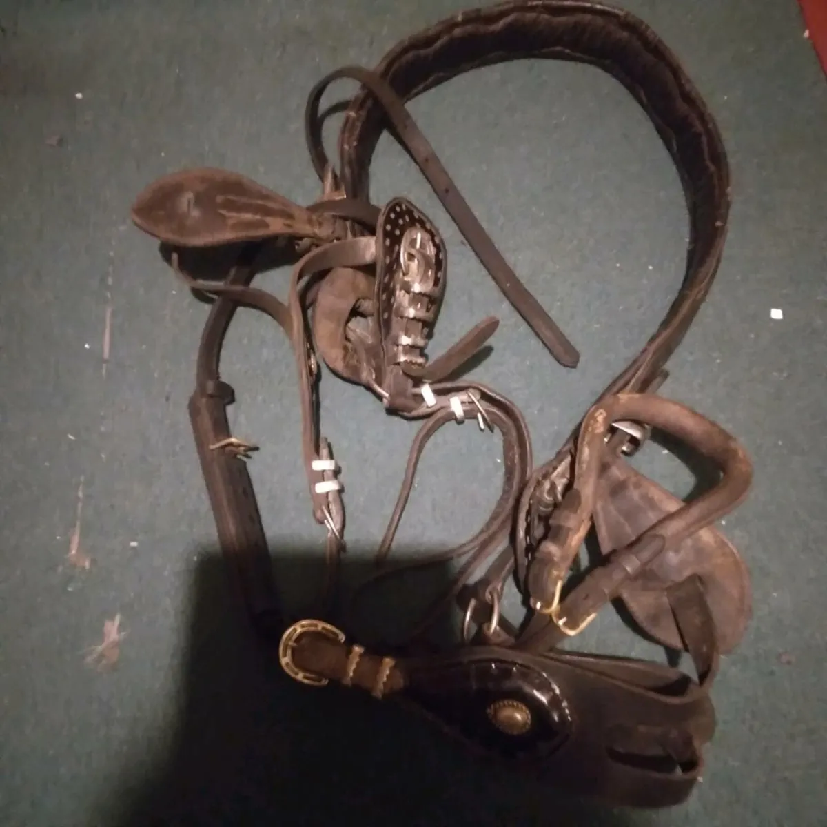 Driving harness - Image 4