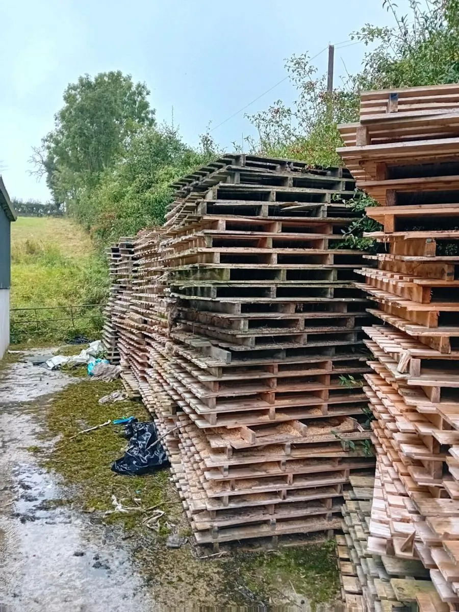 Pallets - Image 3