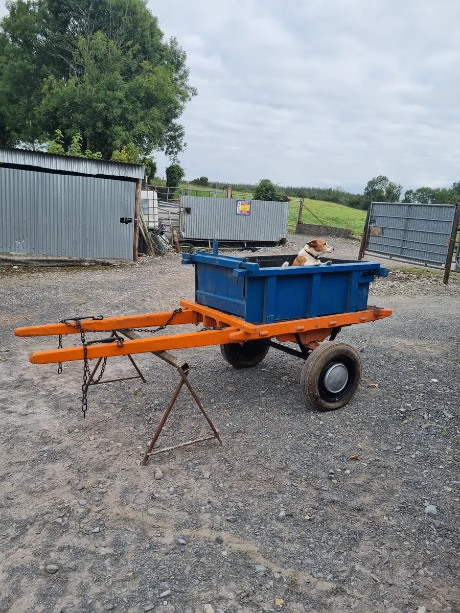 Donkey cart - Image 3