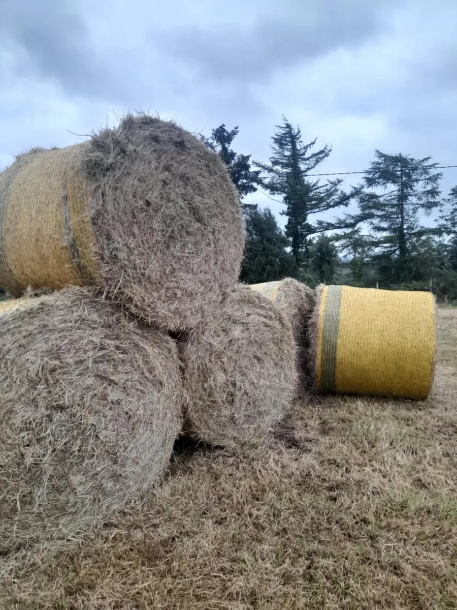 Horse Hay Bales - Image 1