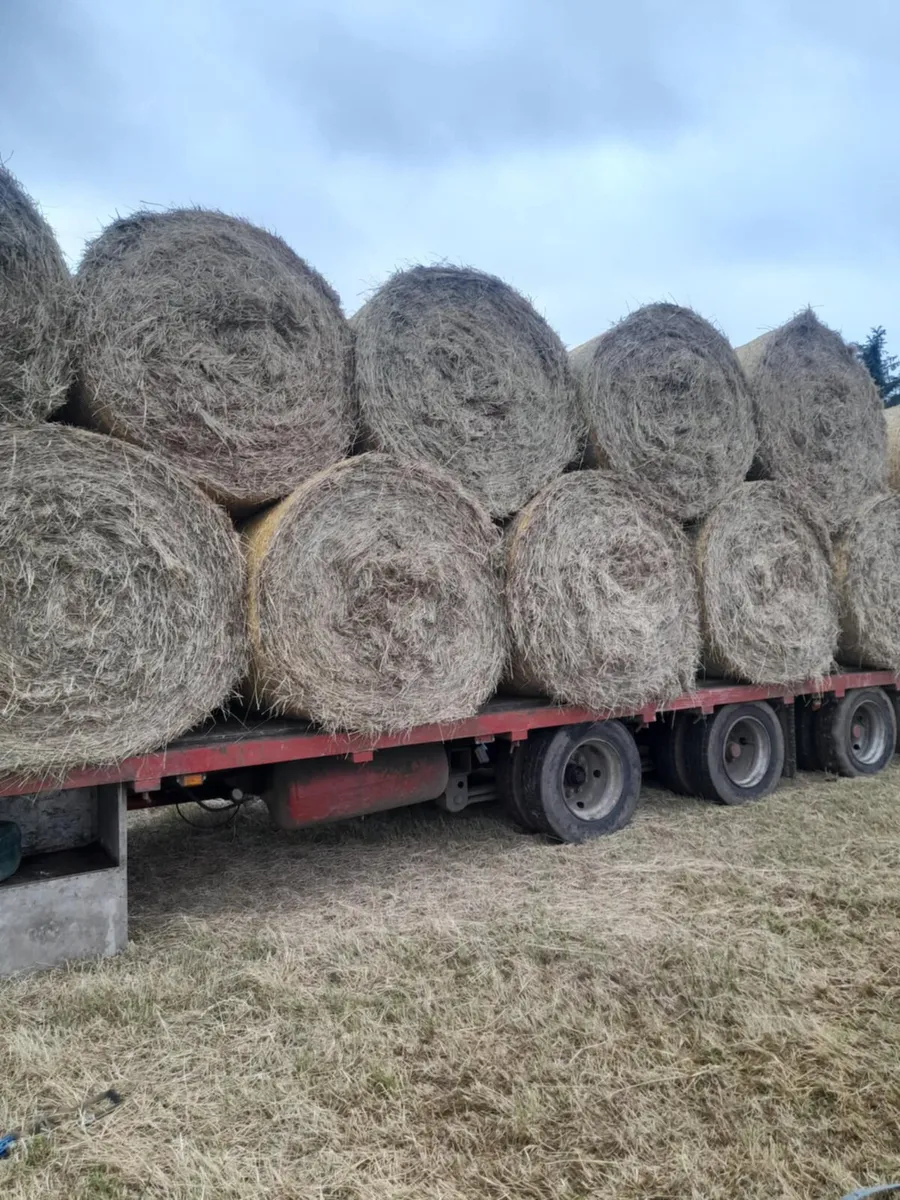 Horse Hay Bales - Image 2