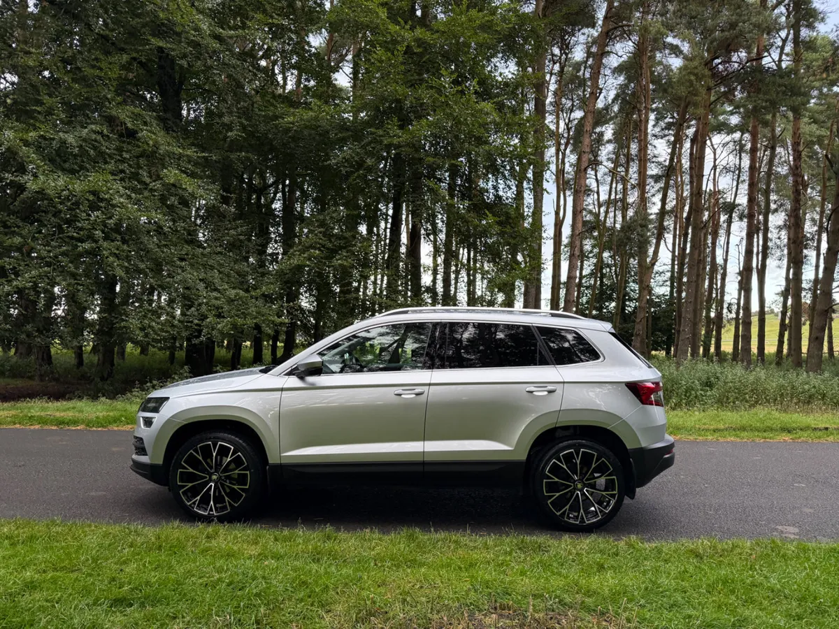 Skoda Karoq 2019 Commercial - Image 4
