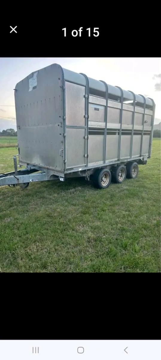 3 AXLE Cattle/Sheep Trailer - Image 1