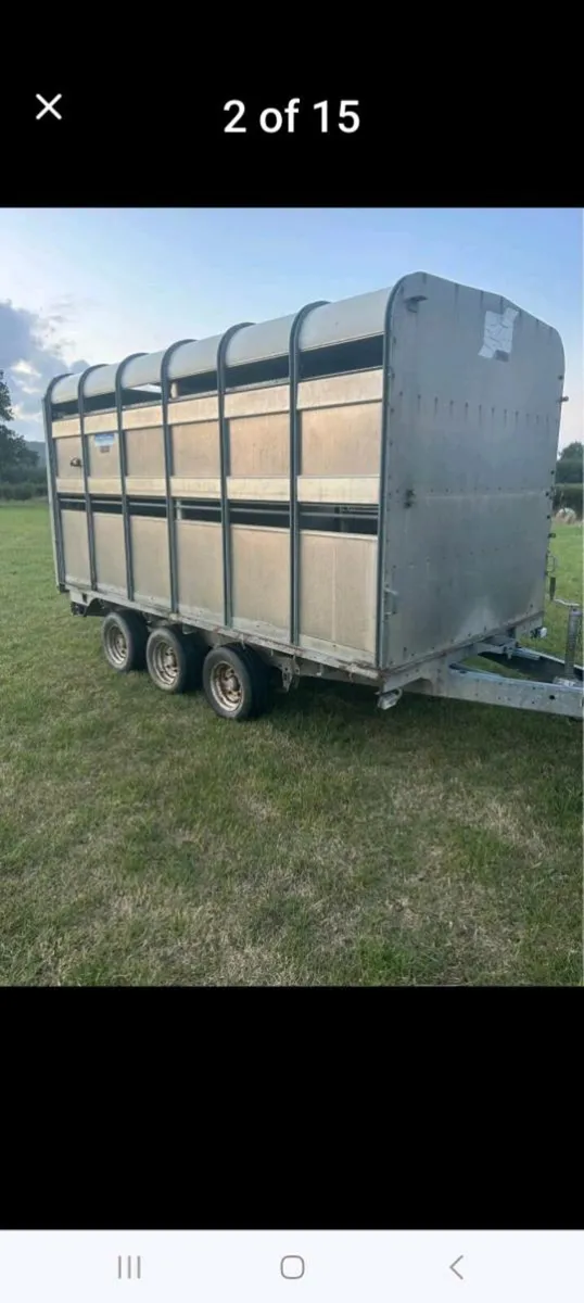 3 AXLE Cattle/Sheep Trailer - Image 2