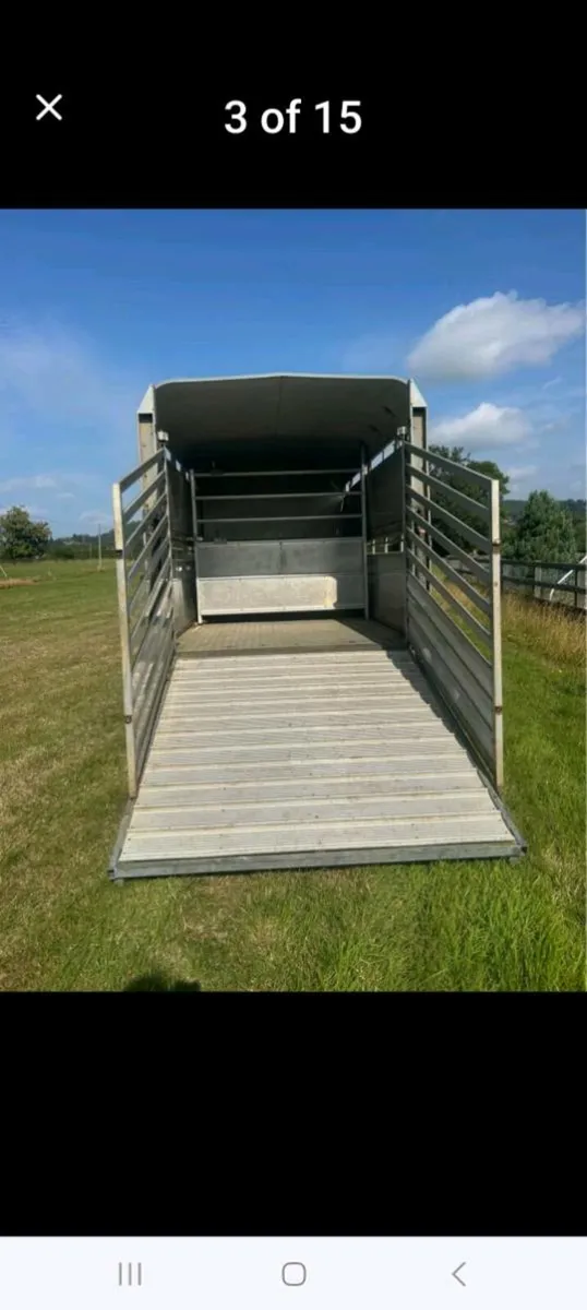 3 AXLE Cattle/Sheep Trailer - Image 3