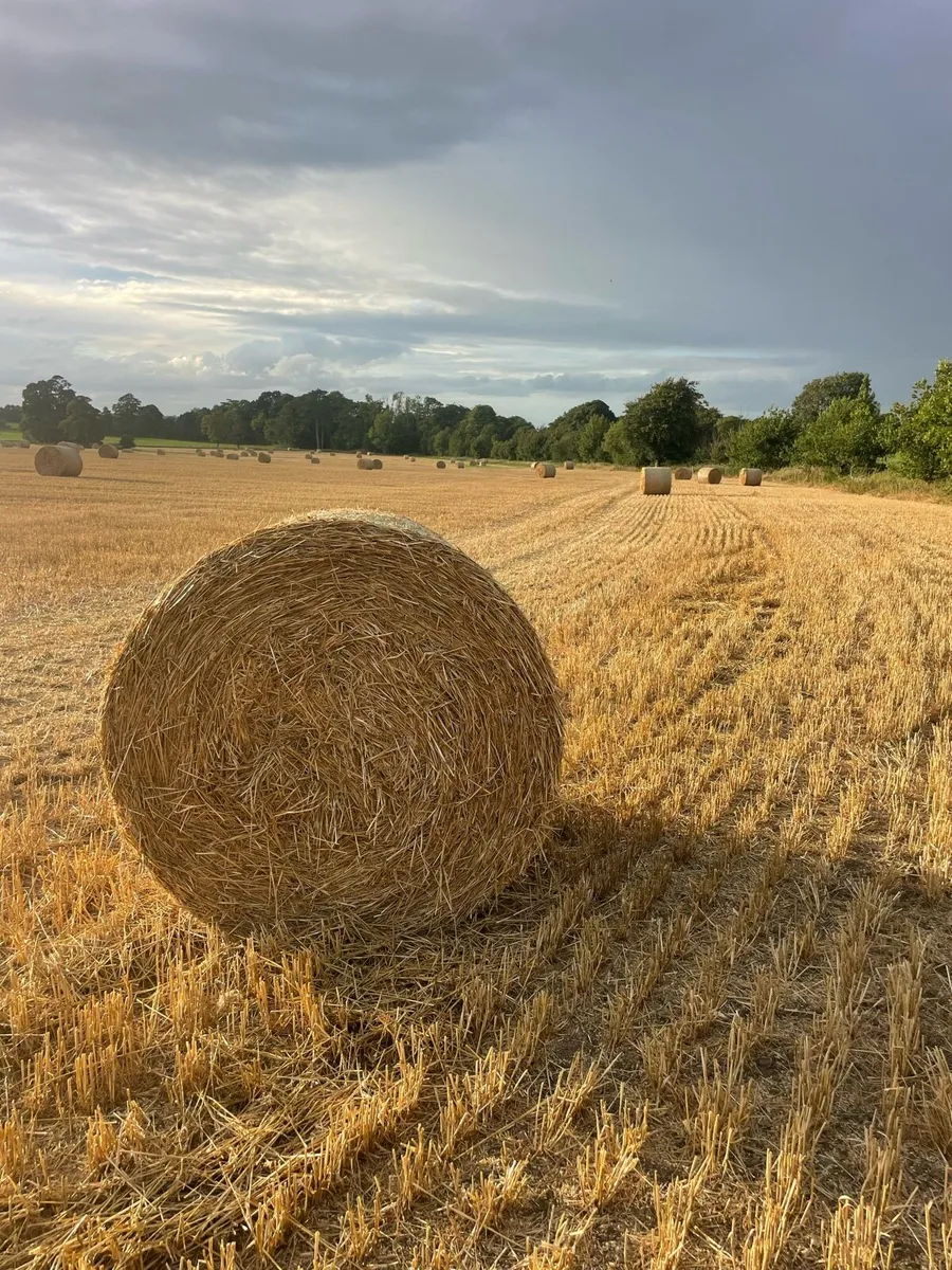 Straw