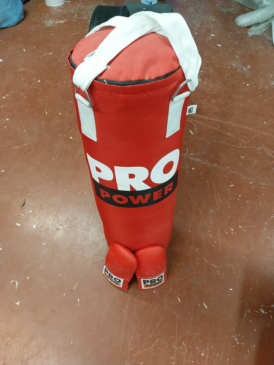 Gym punch bag (boxing bag)