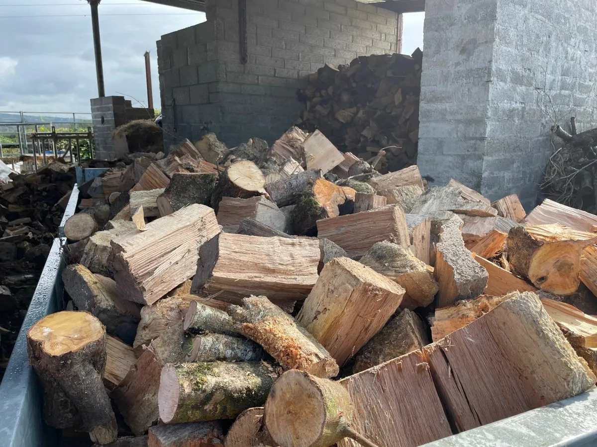 Firewood - Image 2