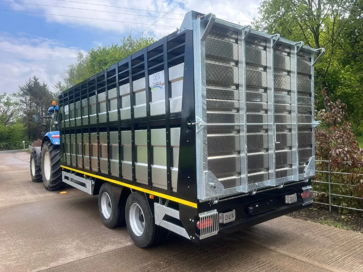 Cattle Trailers - Image 1