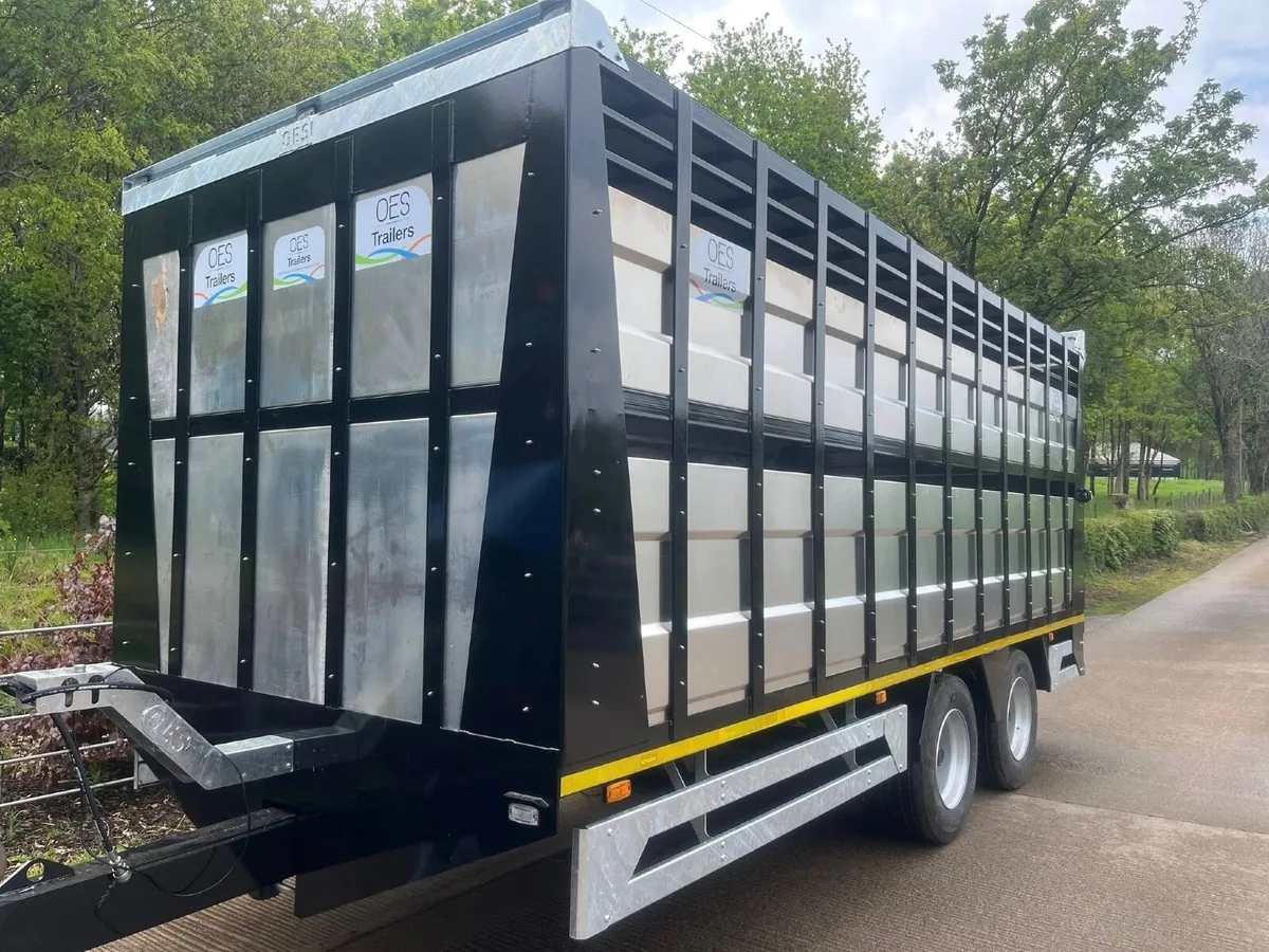 Cattle Trailers - Image 4