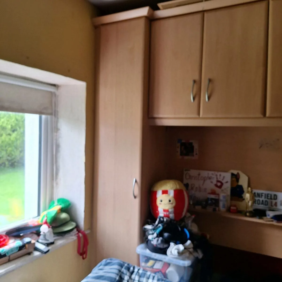 Fitted Wardrobe - Image 1