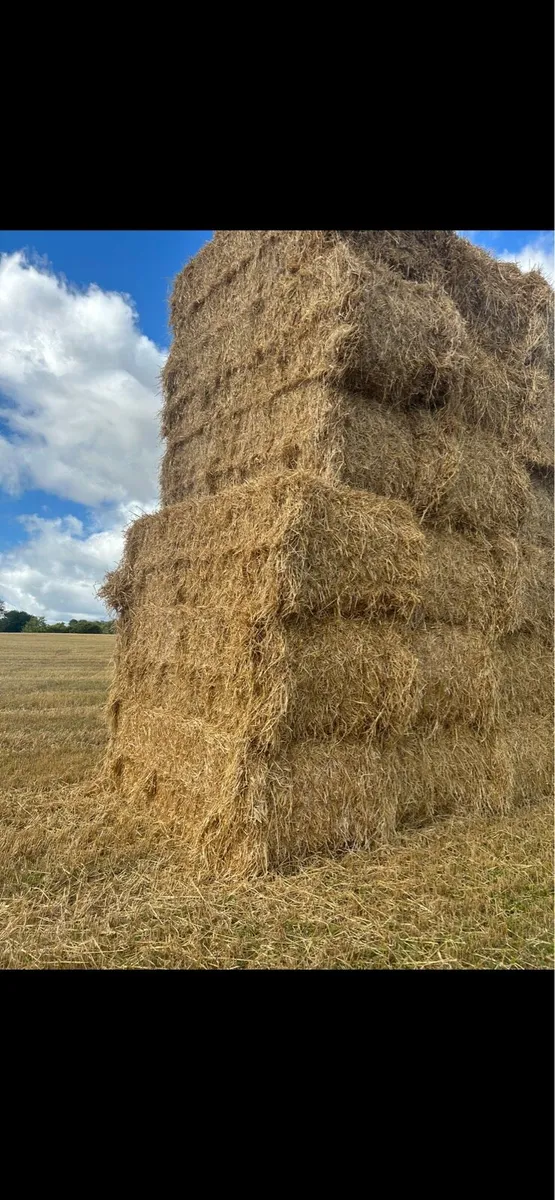 Barly straw delivered to Galway Roscommon Mayo
