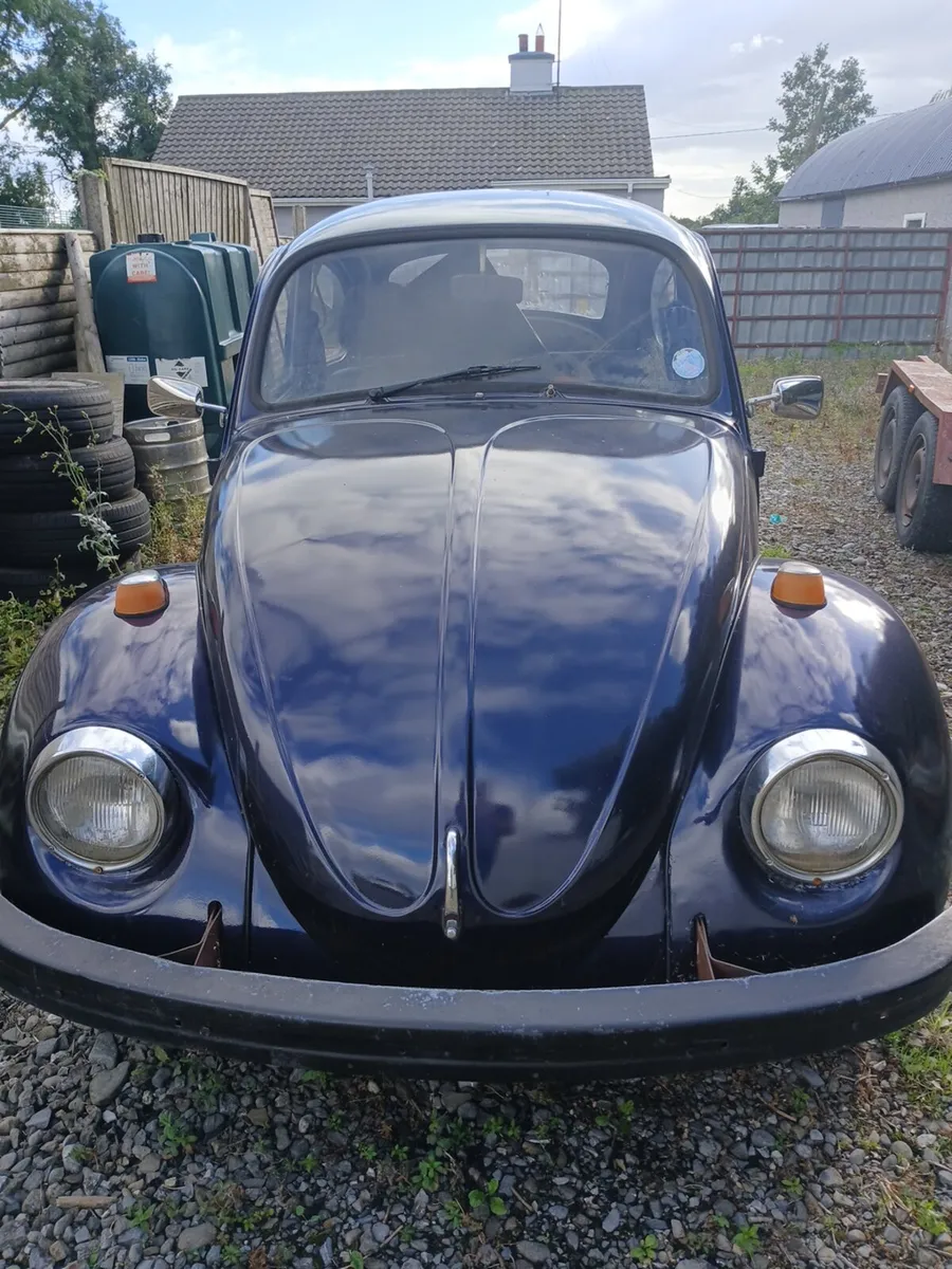 Vw beetle - Image 1
