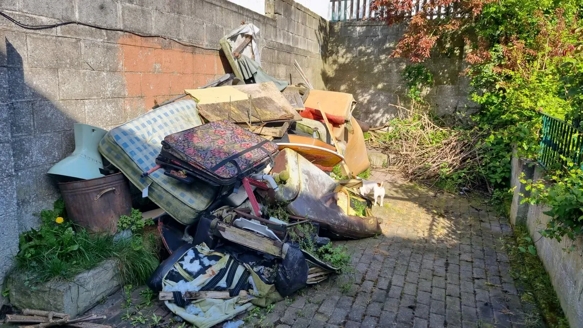 Rubbish removal - Image 4