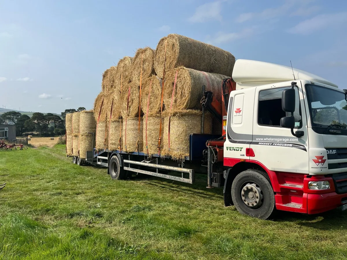 Spring Barley Straw Delivered - Image 1