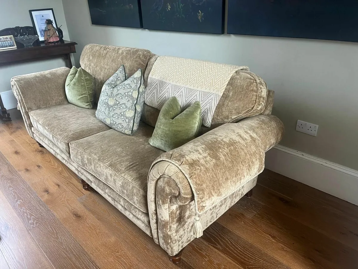 Crushed Velvet Couch - Image 3
