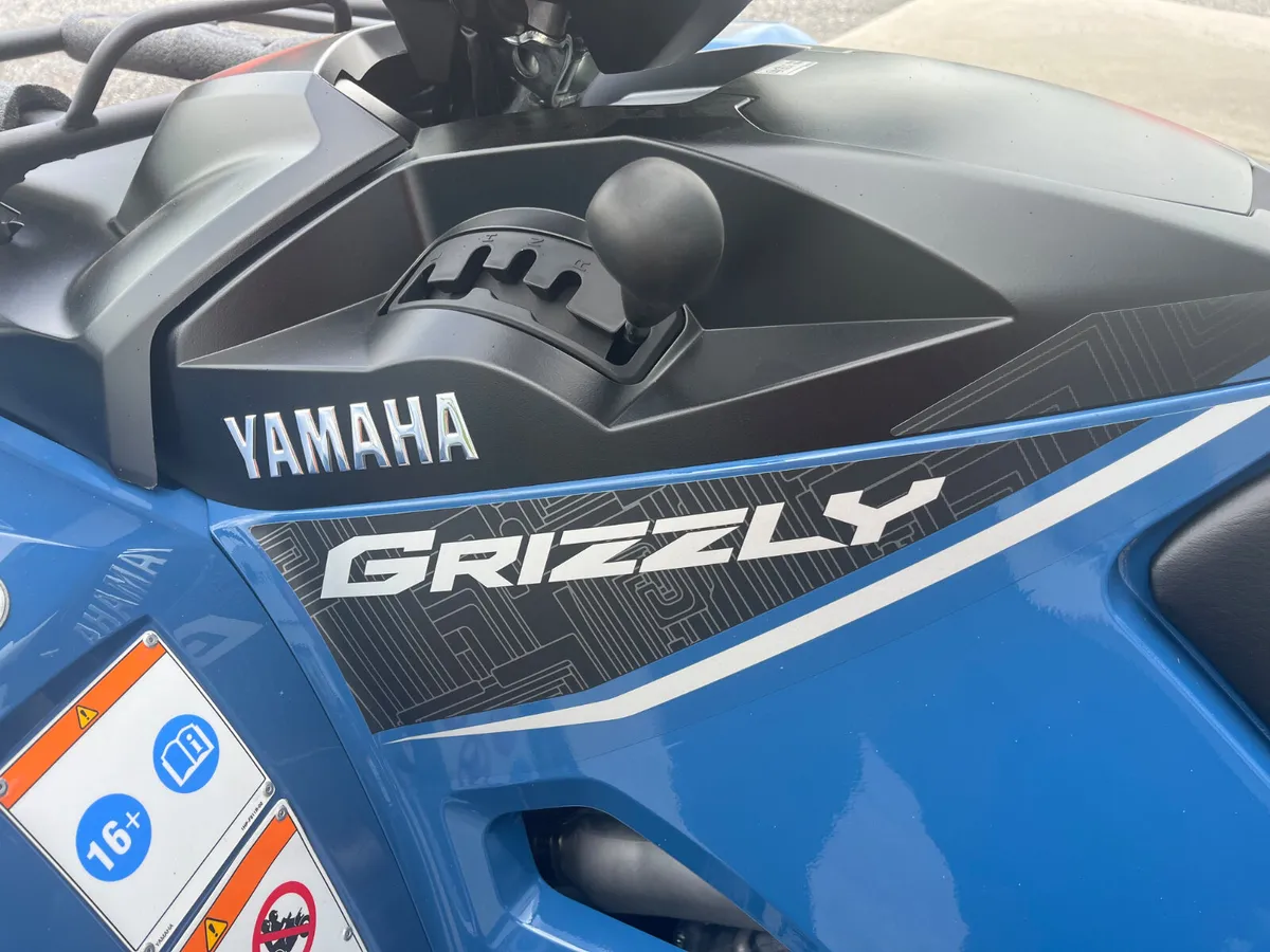 TOP OF THE RANGE SPECIAL EDITION GRIZZLY 700 - Image 4