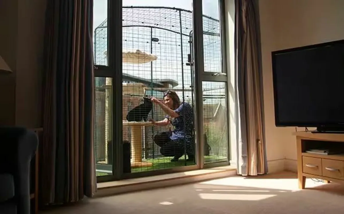 Pet Enclosure - Image 4