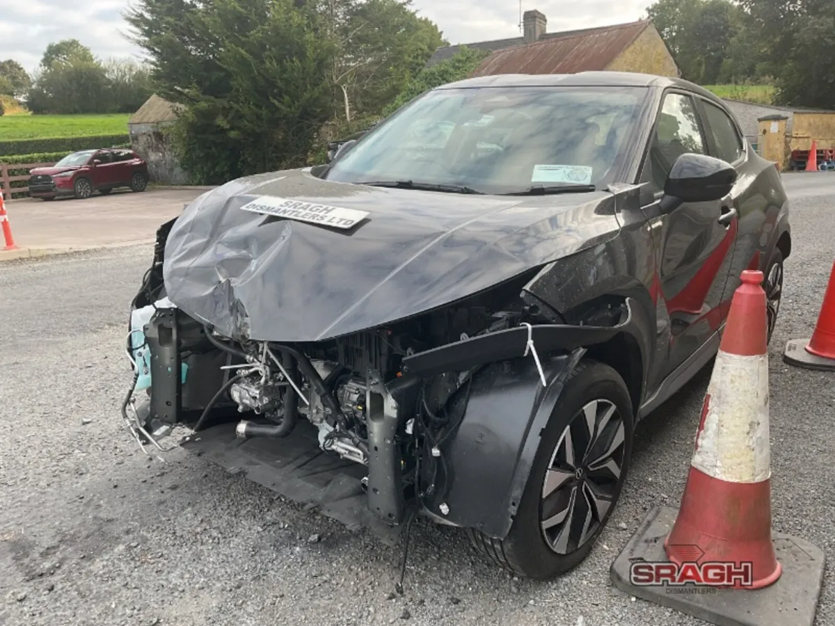 2025 NISSAN JUKE - Image 3